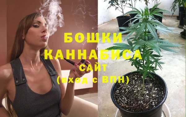 дмт Бородино
