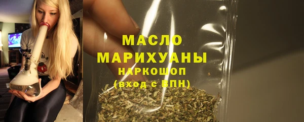 дмт Бородино