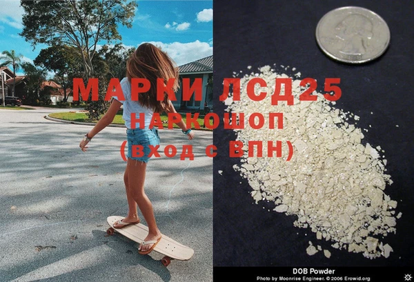 дмт Бородино