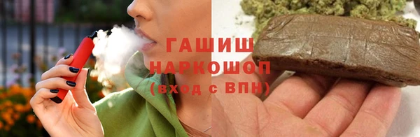 дмт Бородино