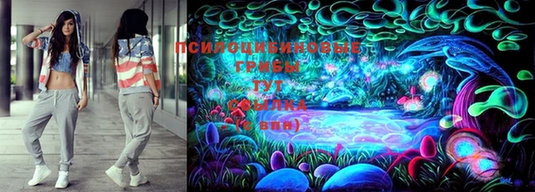 дмт Бородино