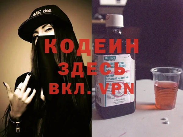 дмт Бородино