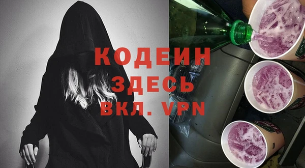 дмт Бородино