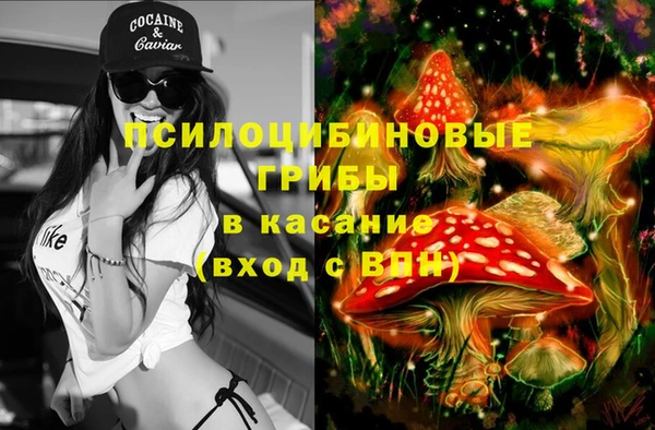 дмт Бородино