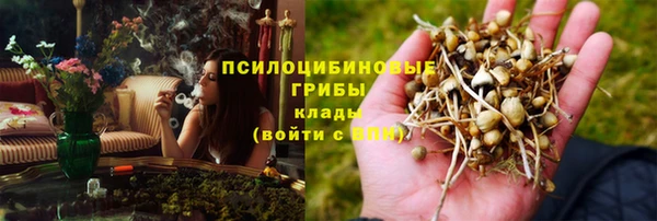 дмт Бородино