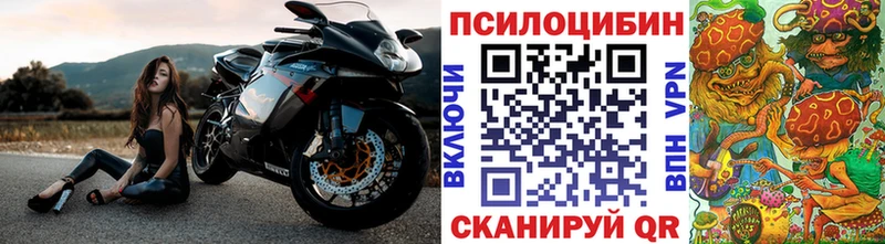 Галлюциногенные грибы мухоморы  магазин продажи   Черногорск 